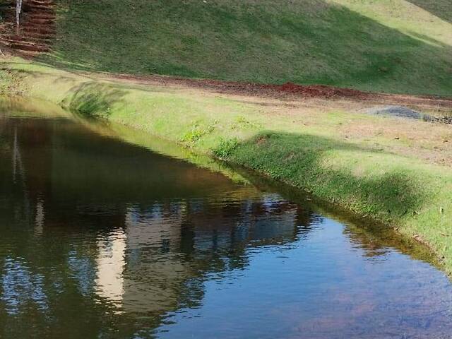 Área para Venda em Marechal Floriano - 4